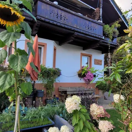 Appartement Eder *