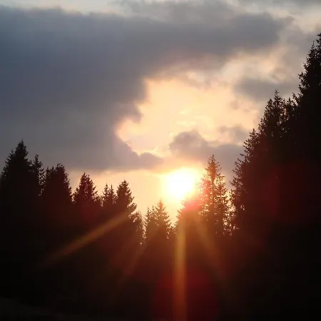 Eder * Kirchberg in Tirol